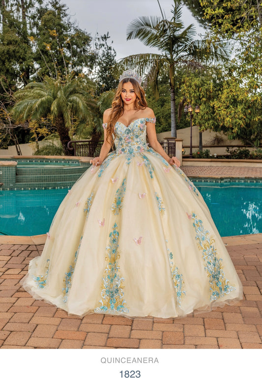 15 & 16 Gown #1823